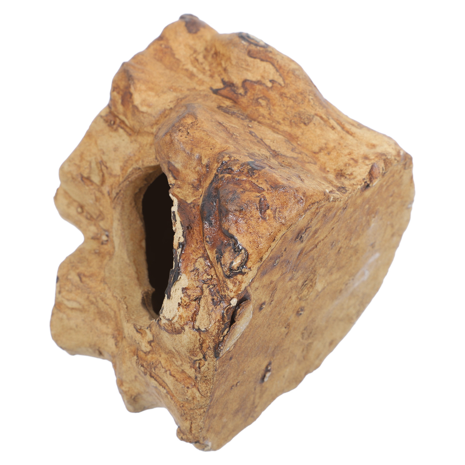Hide Cave Ceramic - Wysokiej jakości ceramiczne jaskinie do akwarium,
