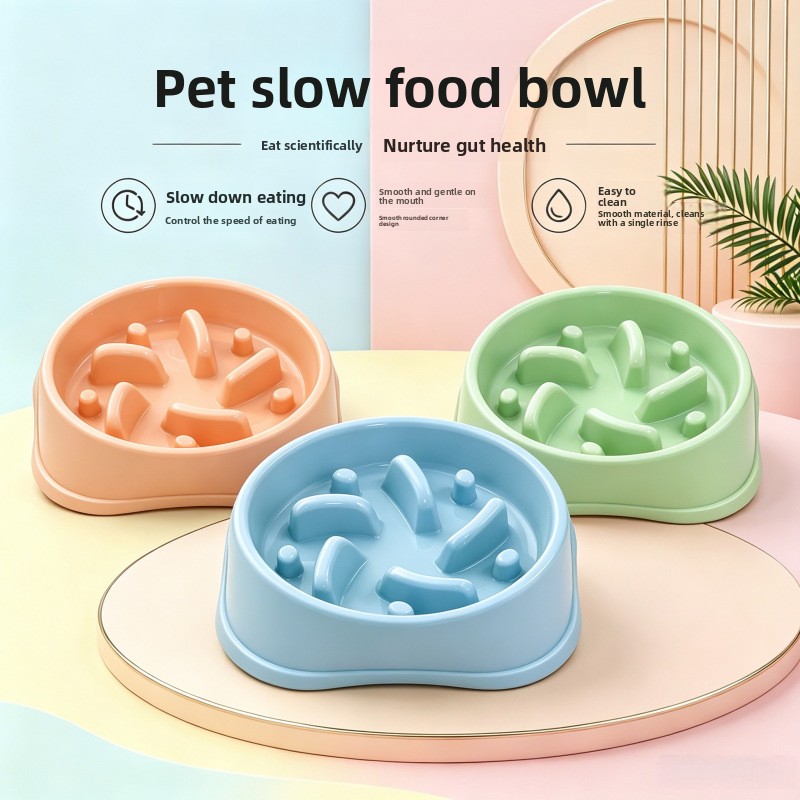 Royal Canin Food Medium - 1/3 szt. Antypoślizgowa miska spowalniająca jedzenie