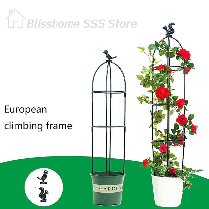 Vine Climbing Plastic - 【S】1 Zestaw Siatka do Podtrzymywania Roślin
