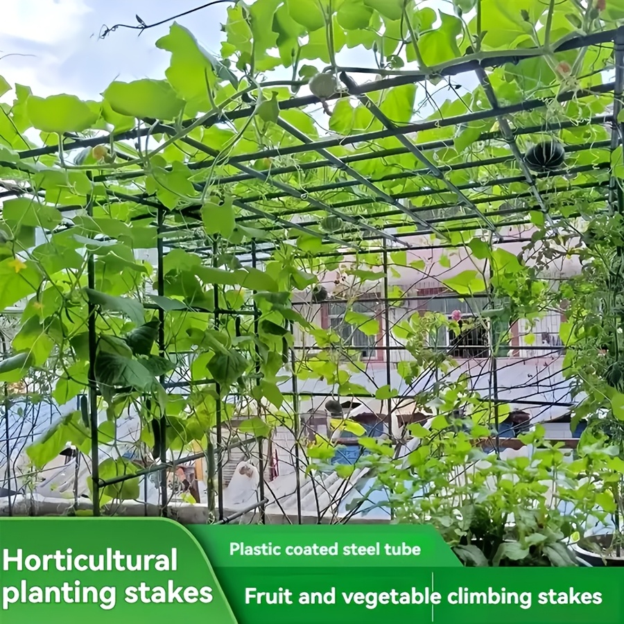 Zestaw antykorozyjnych ram do  – Vine Climbing Plastic recenzja i cena