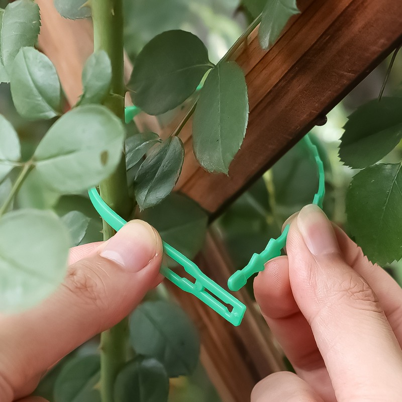 Hurtowe wielokrotnego użytku r – Vine Climbing Plastic recenzja i cena