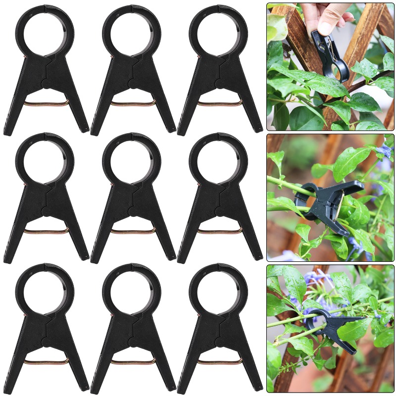 Nowe 100/10 szt. Klipsy do pod – Vine Climbing Plastic recenzja i cena