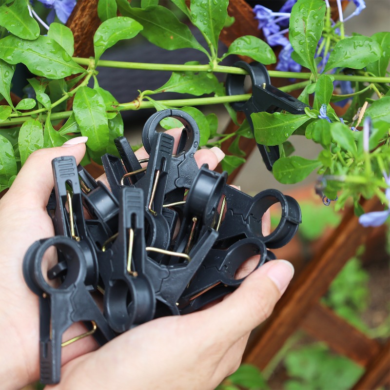 Nowe 100/10 szt. Klipsy do pod – Vine Climbing Plastic recenzja i cena