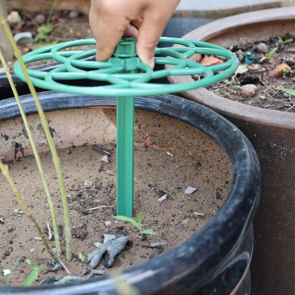 Sztalowa, plastikowa, sztaplow – Vine Climbing Plastic recenzja i cena
