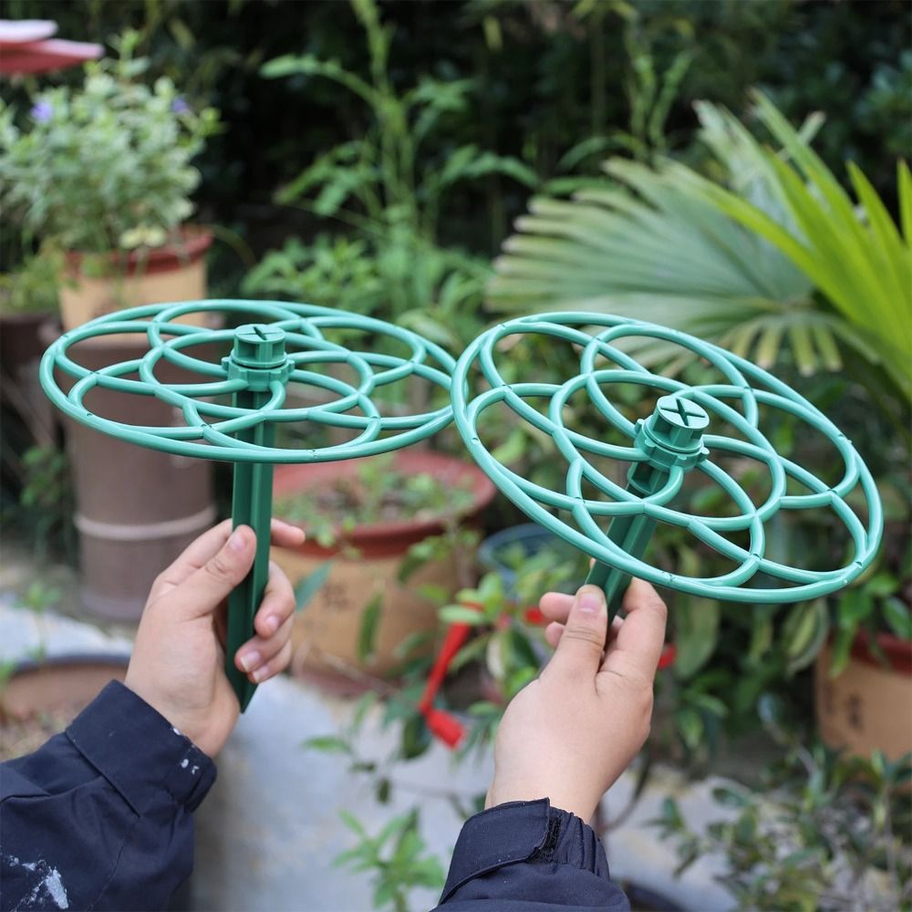 Sztalowa, plastikowa, sztaplow – Vine Climbing Plastic recenzja i cena