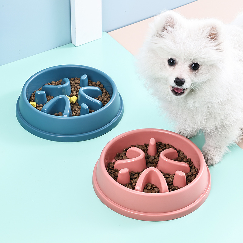Miska spowalniająca jedzenie d – Royal Canin Food Medium recenzja i cena