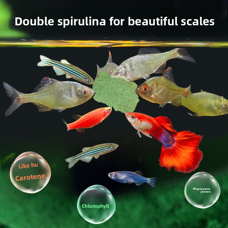 DEERA Tropical Fish Flakes, un – Tetra Food Tropical Flakes recenzja i cena