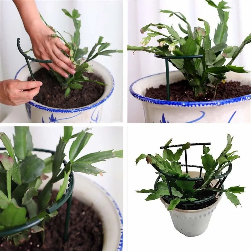 Zestaw 1-9 plastikowych podpór – Vine Climbing Plastic recenzja i cena