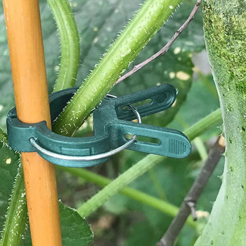 Klipsy do mocowania roślin, wi – Vine Climbing Plastic recenzja i cena