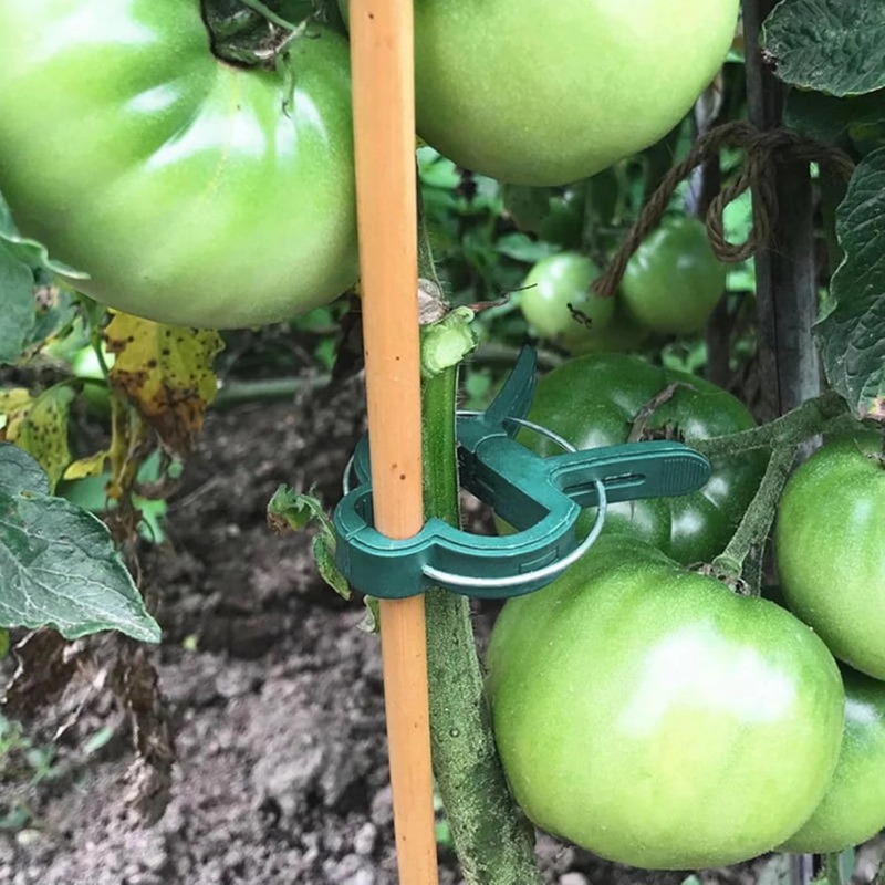 Klipsy do mocowania roślin, wi – Vine Climbing Plastic recenzja i cena