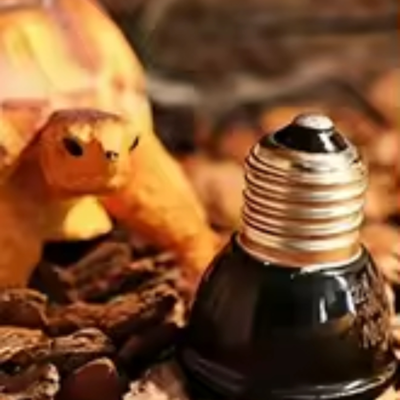 Ceramiczna lampa grzewcza dla  – Ceramic Heat Emitter recenzja i cena