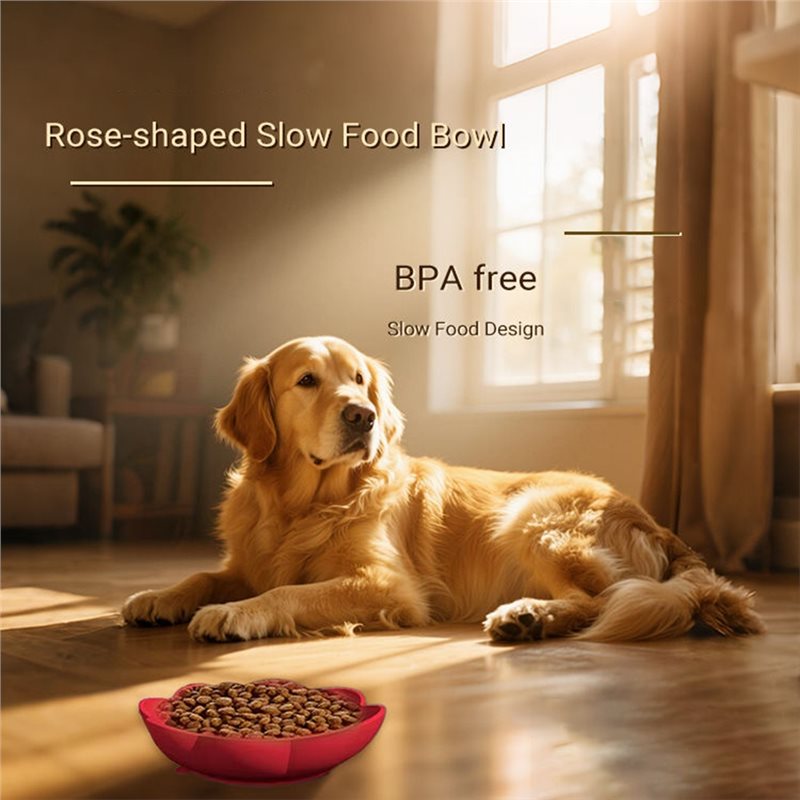 A11E - Silikonowa miska spowal – Royal Canin Food Medium recenzja i cena