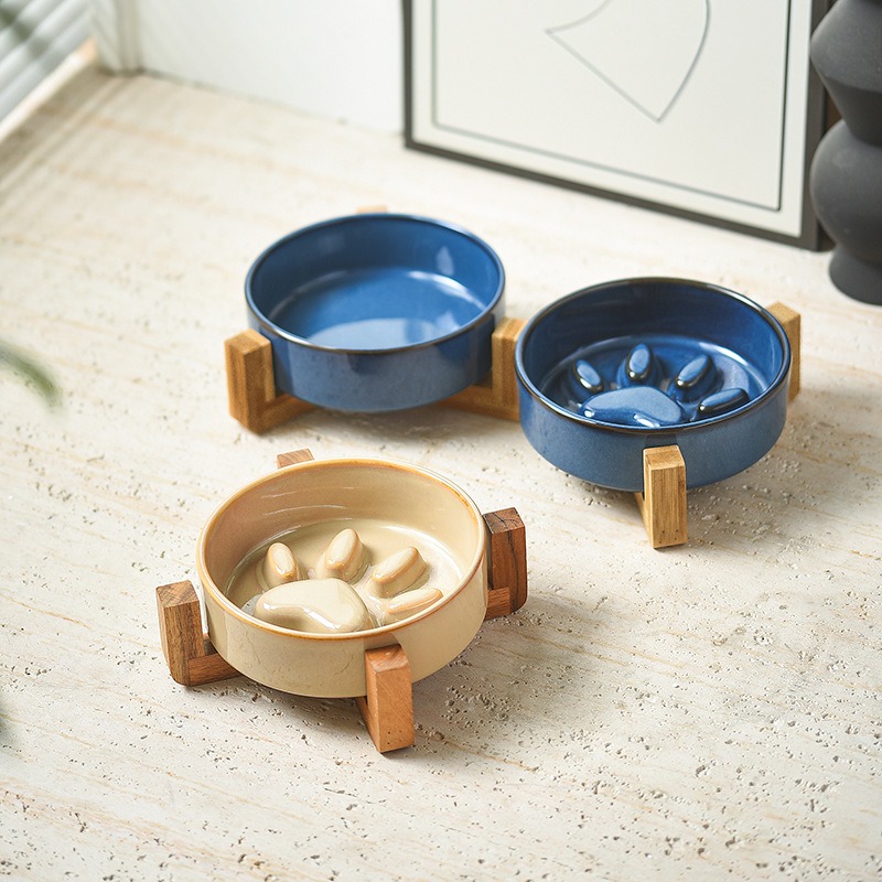 Miska ceramiczna dla kota w st – Royal Canin Food Medium recenzja i cena