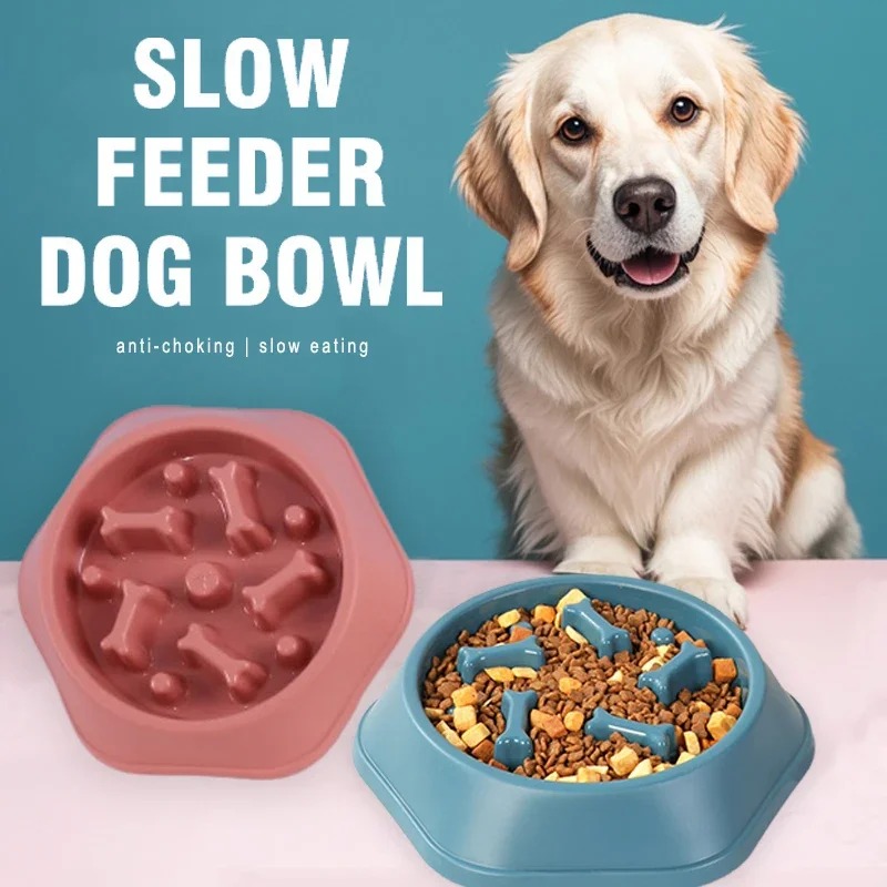 1 szt. Miska spowalniająca jed – Royal Canin Food Medium recenzja i cena